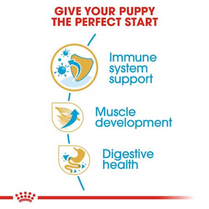 ROYAL CANIN BOXER JUNIOR 12K ΞΗΡΑ ΤΡΟΦΗ ΣΚΥΛΟΥ ROYAL CANIN BOXER JUNIOR 12K XIRA TROFI SKuLOu